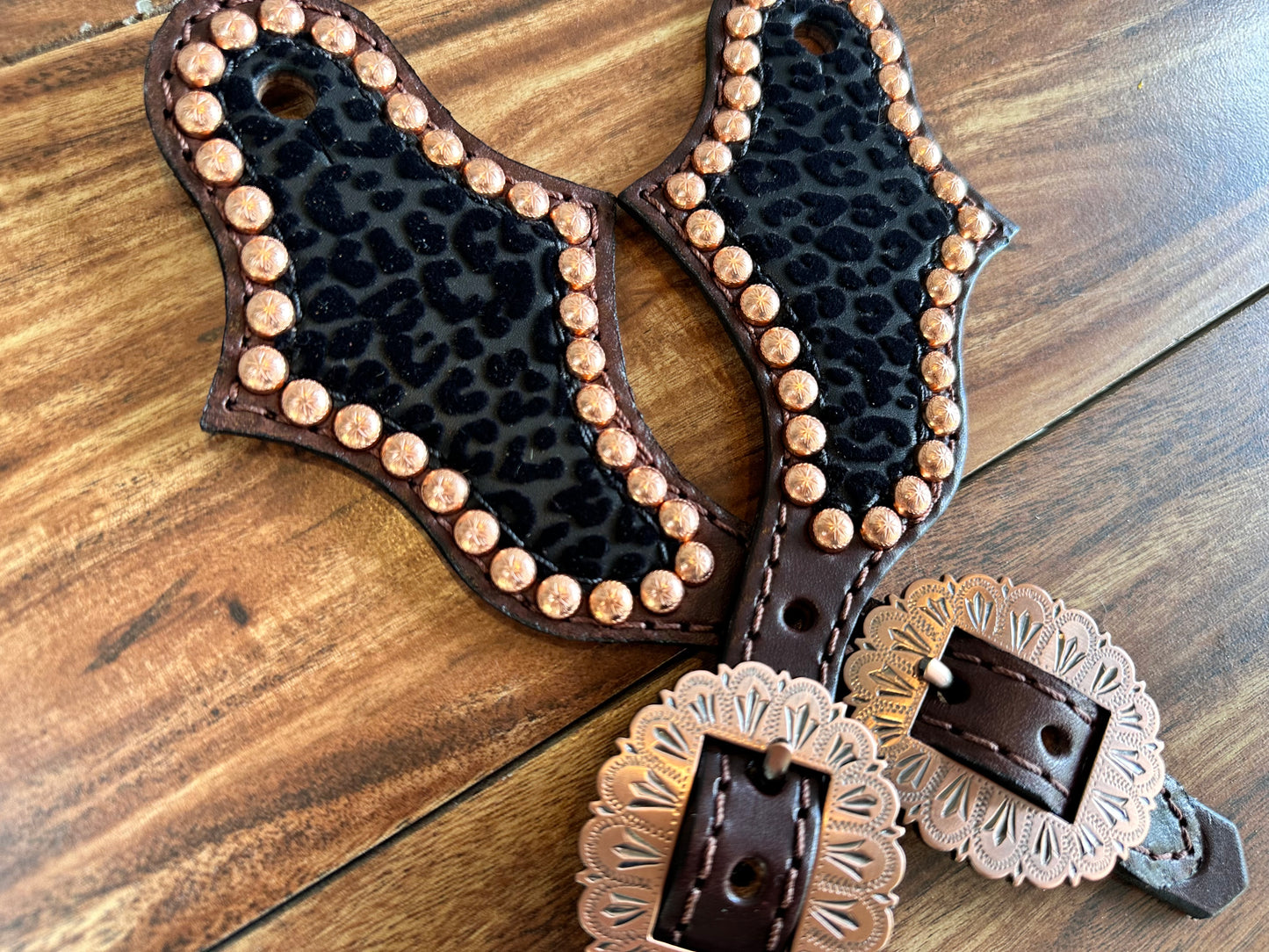 Black cheetah with bright copper