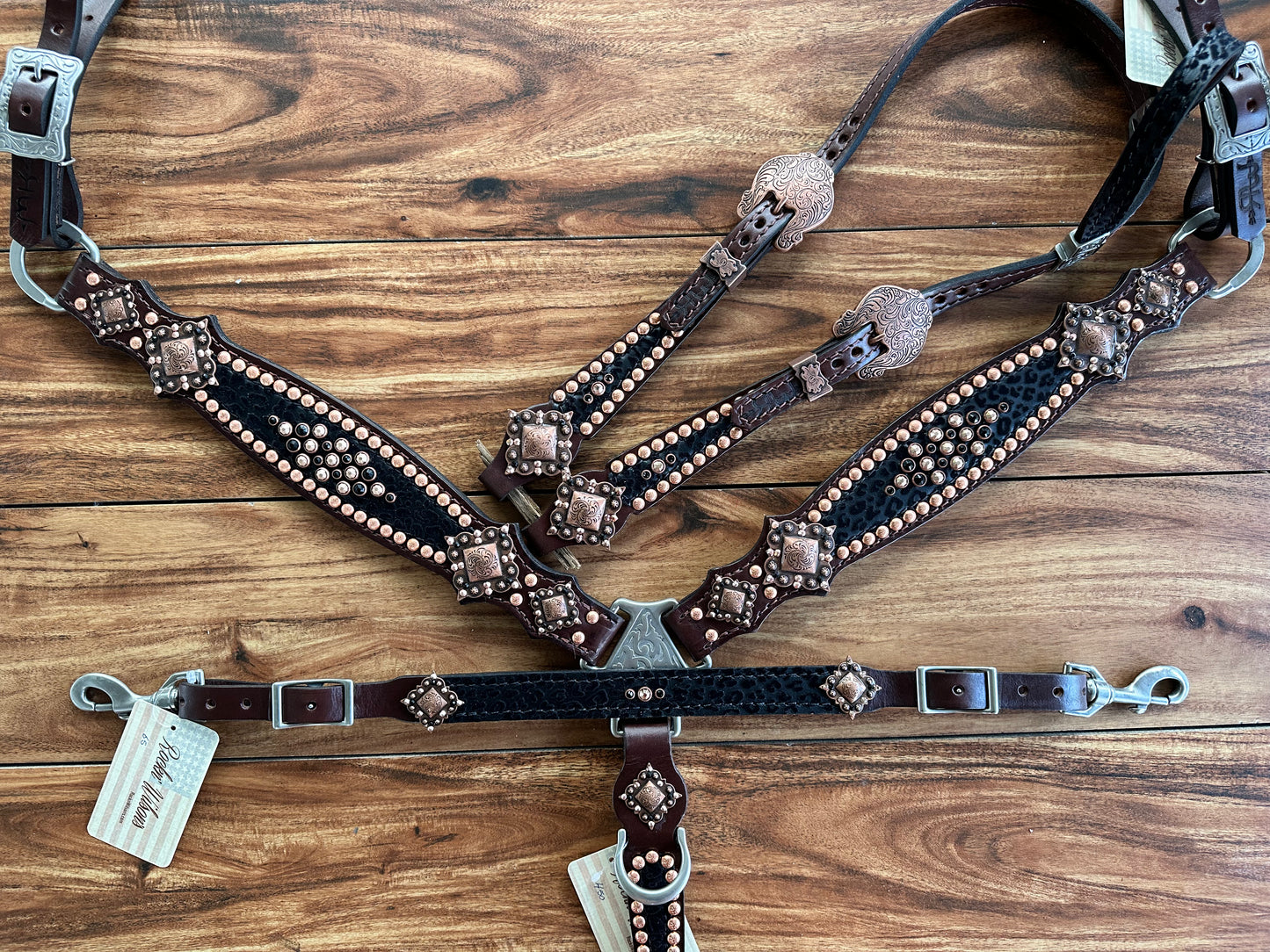 Black cheetah with bright copper
