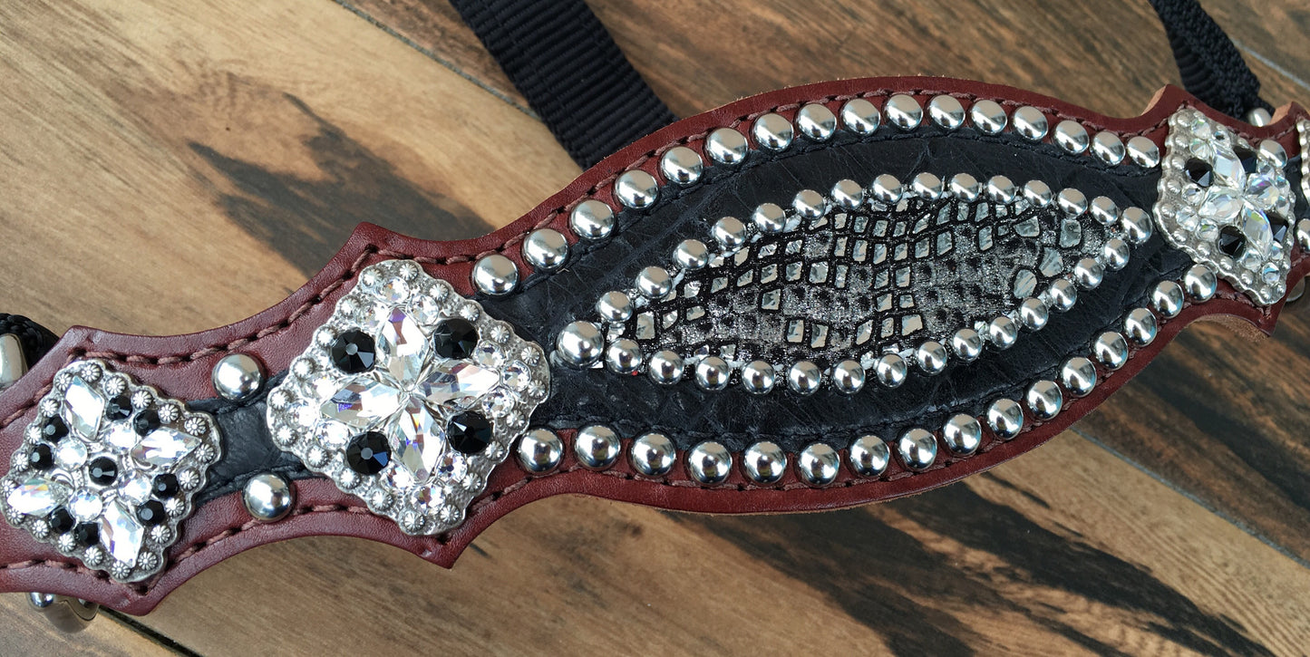 Black Gator with Silver Mystic Overlay Halter
