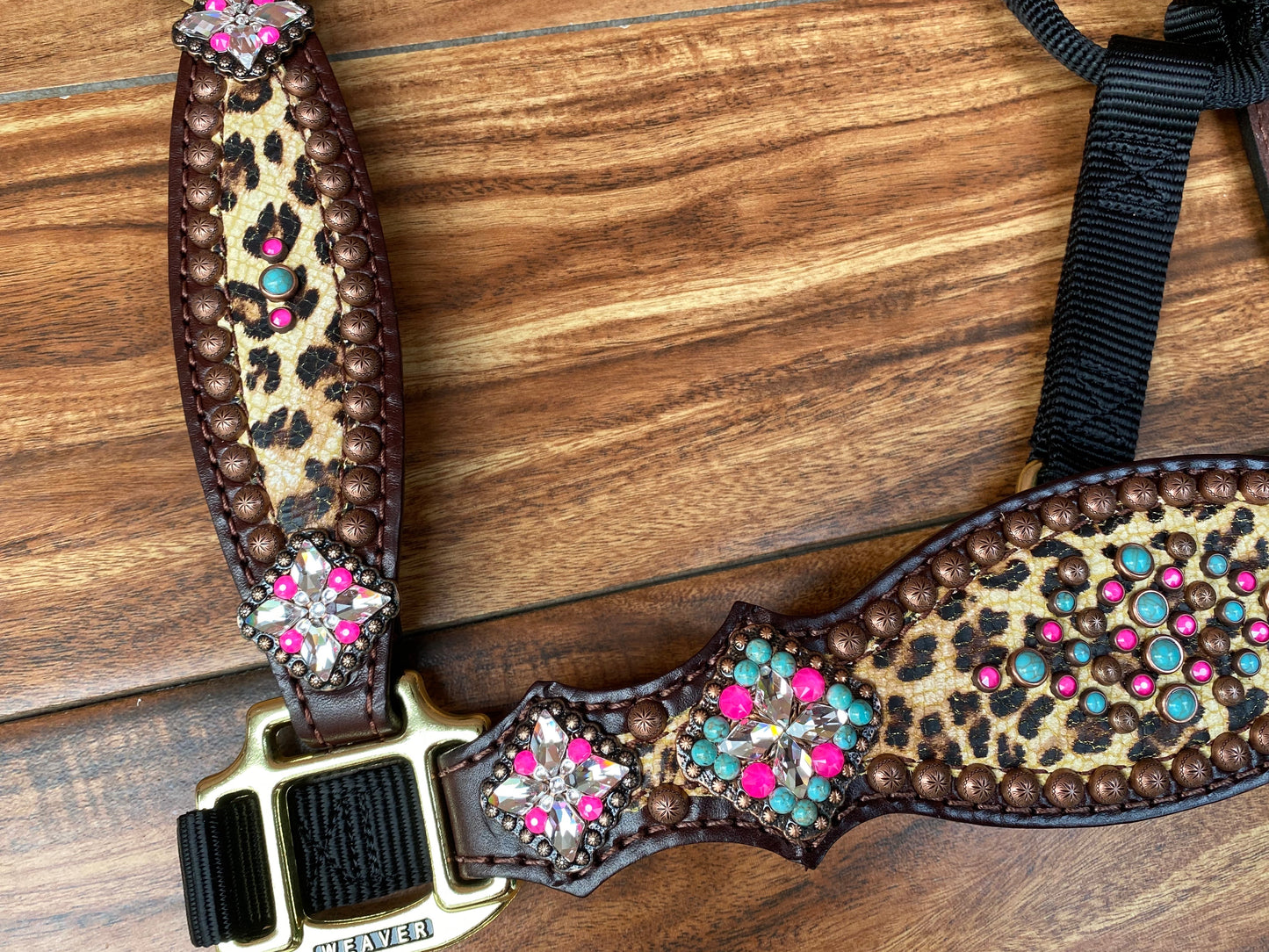 Cheetah with pink and turquoise halter