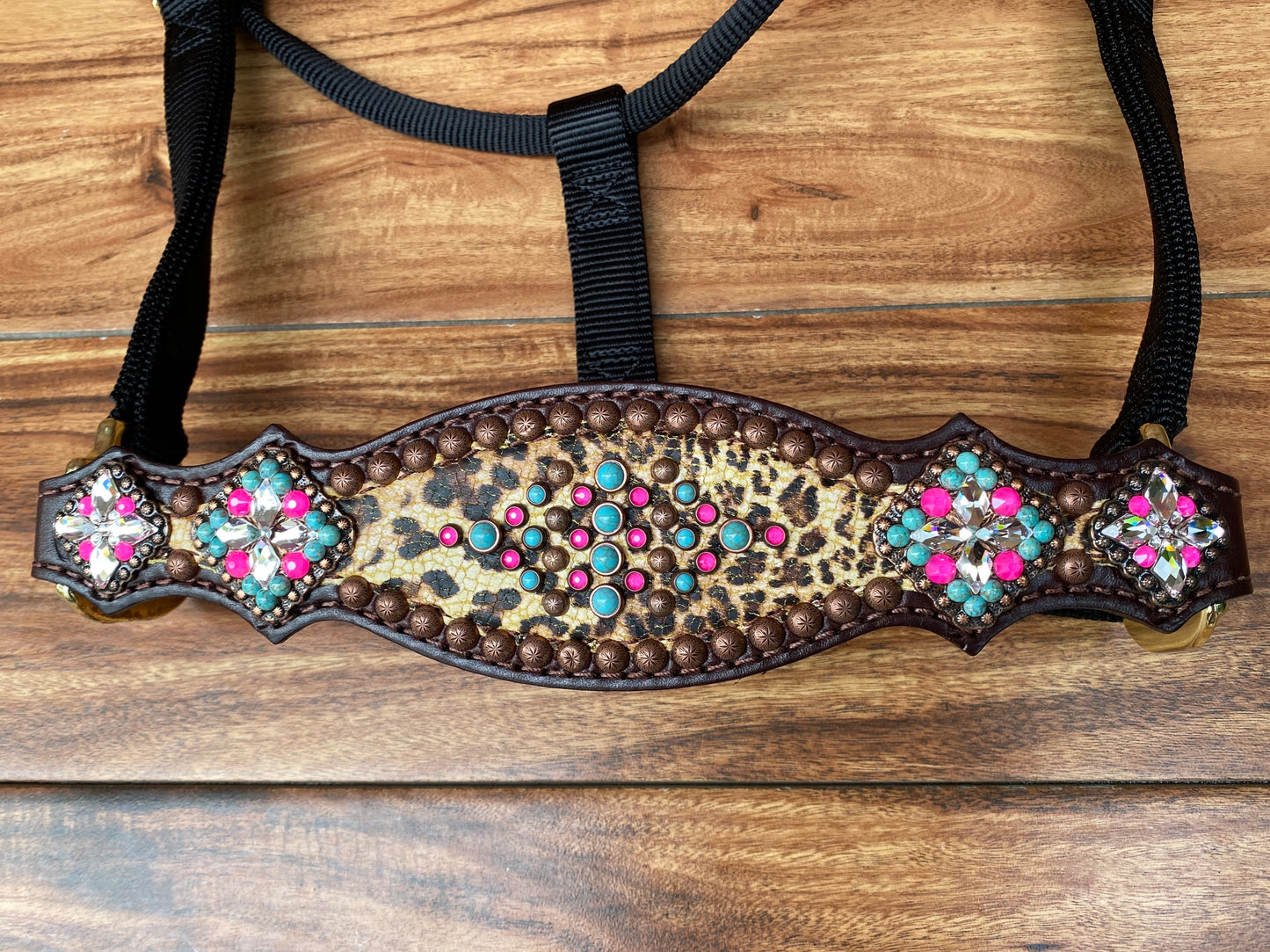 Cheetah with pink and turquoise halter