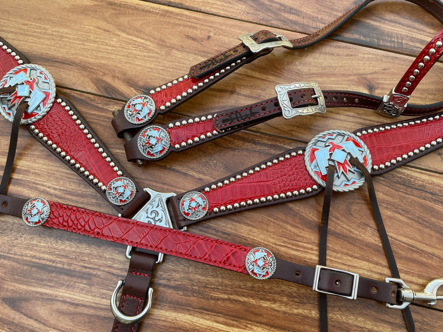 Red gator with large blue/red thunderbird