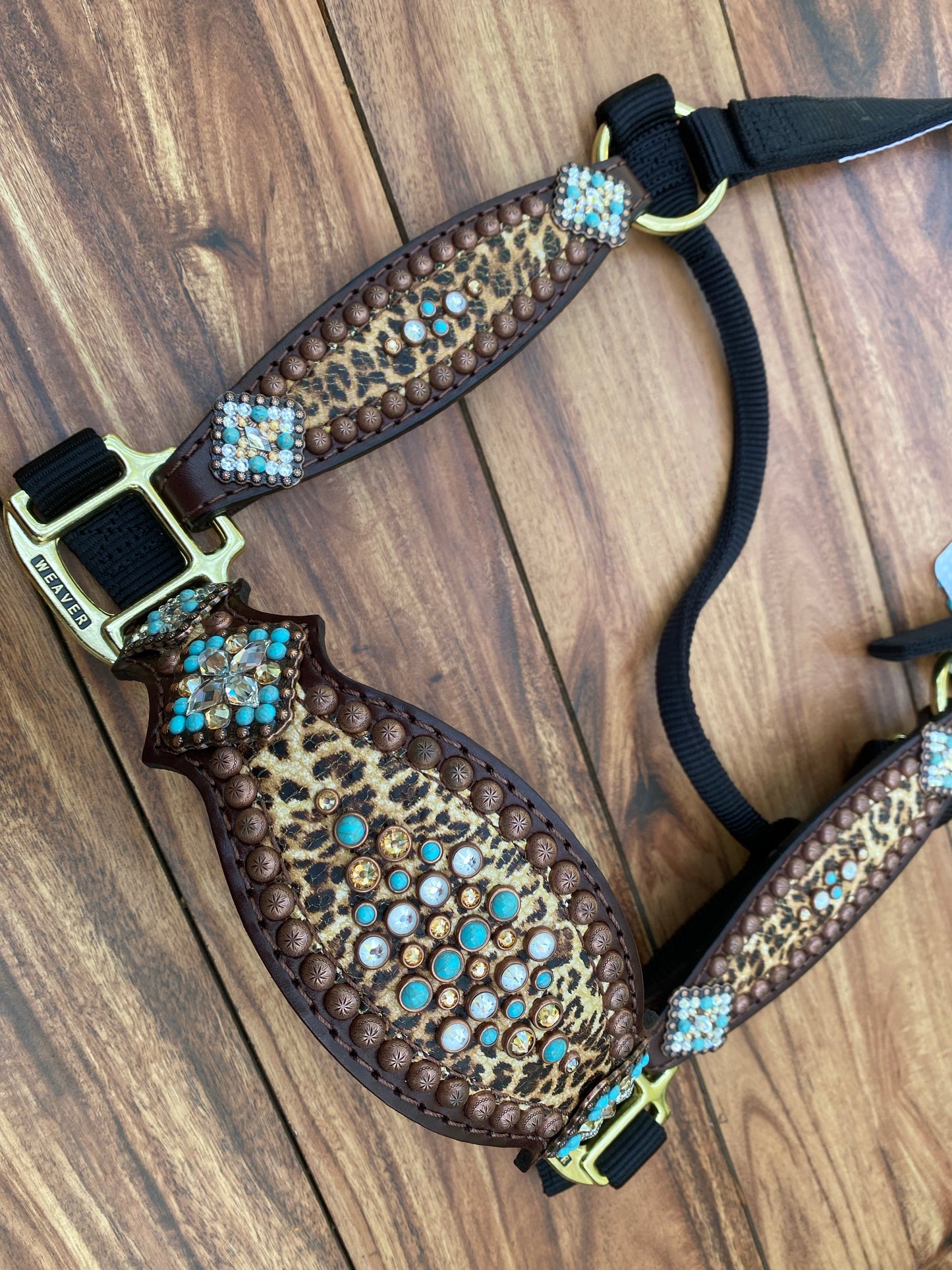Cheetah with turquoise