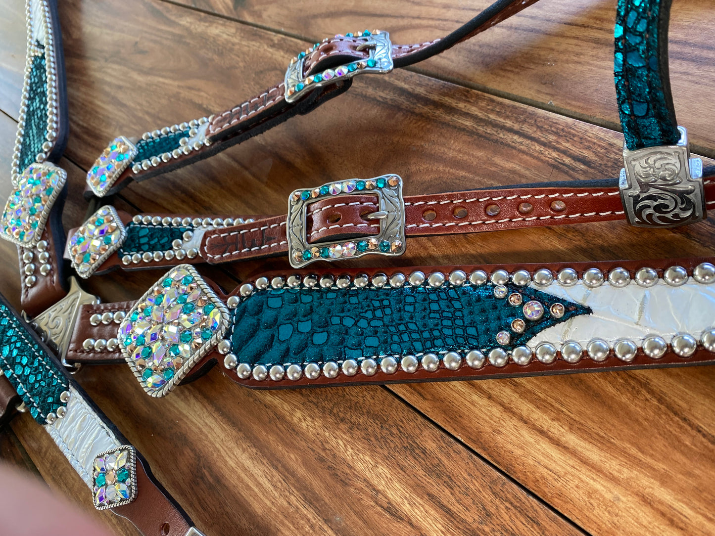 Turquoise mystic with white gator