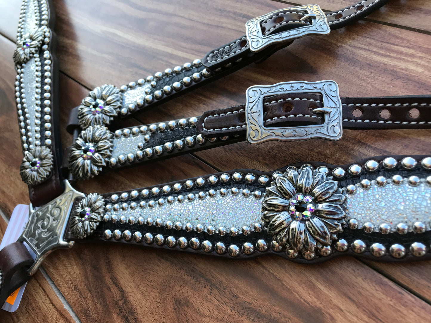 Black gator with silver ice and Daisy’s