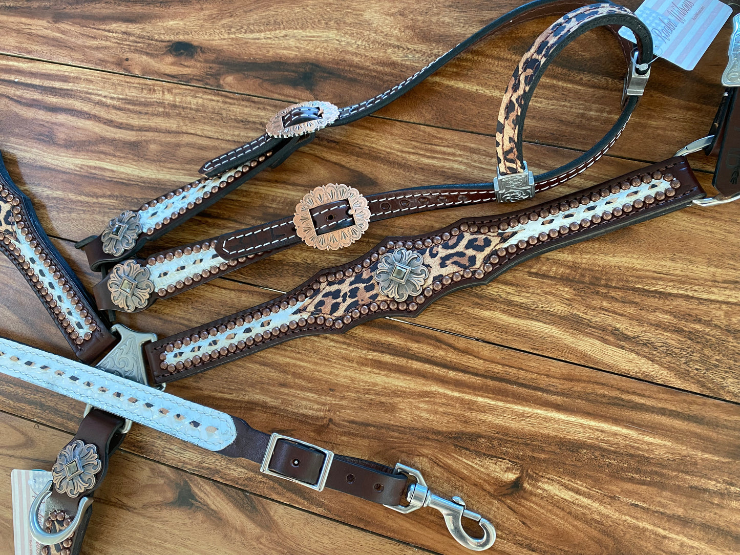 White gator with tawny cheetah
