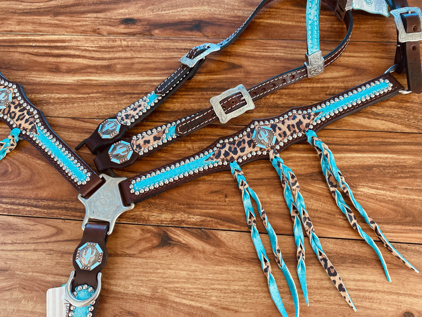 Turquoise dazzle with tawny cheetah