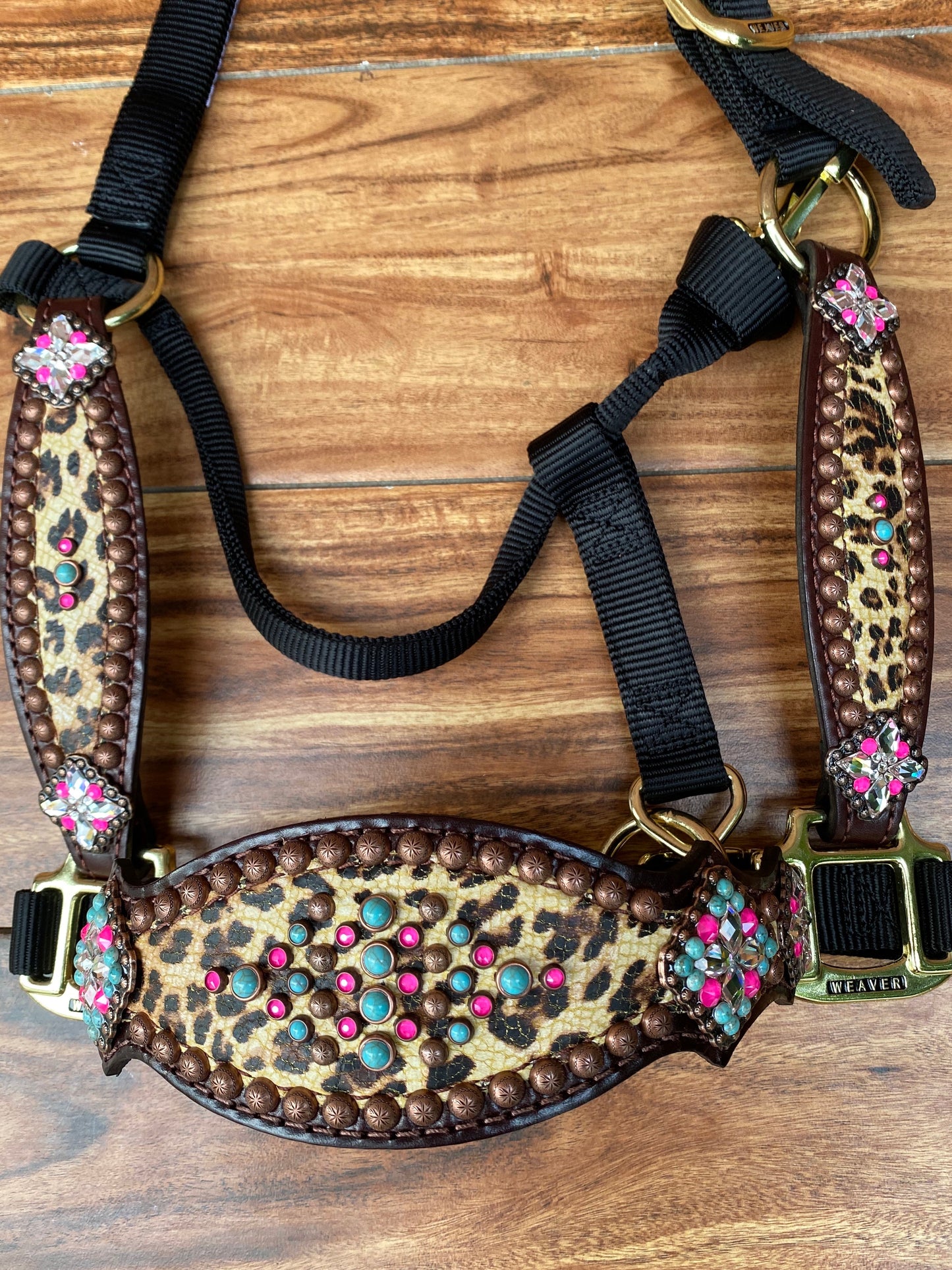 Cheetah with pink and turquoise halter