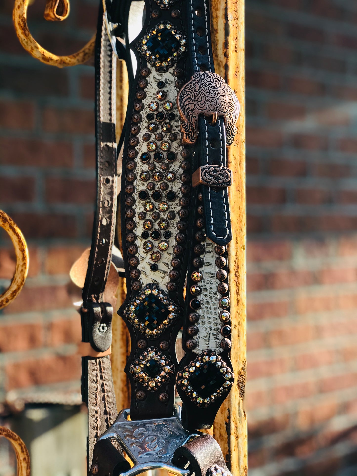 Antique white gator with square conchos