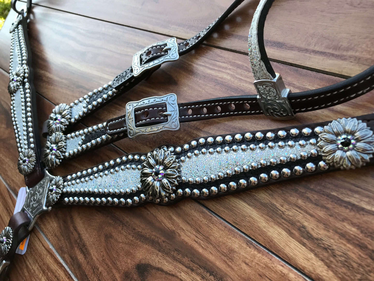 Black gator with silver ice and Daisy’s