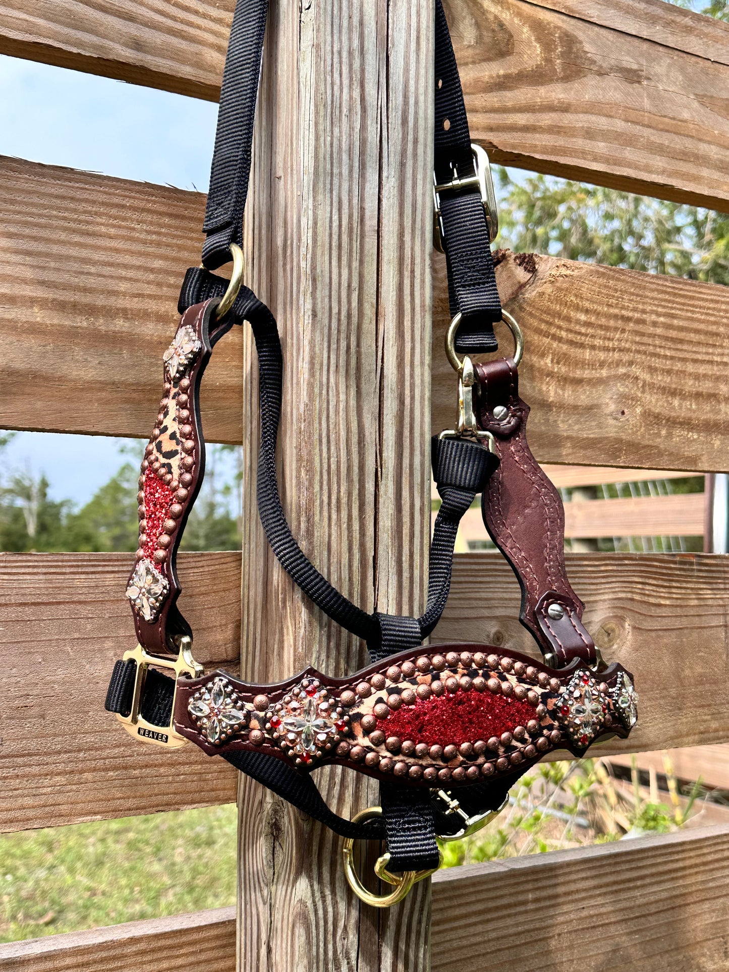 Chunky Red Glitter with Cheetah Halter