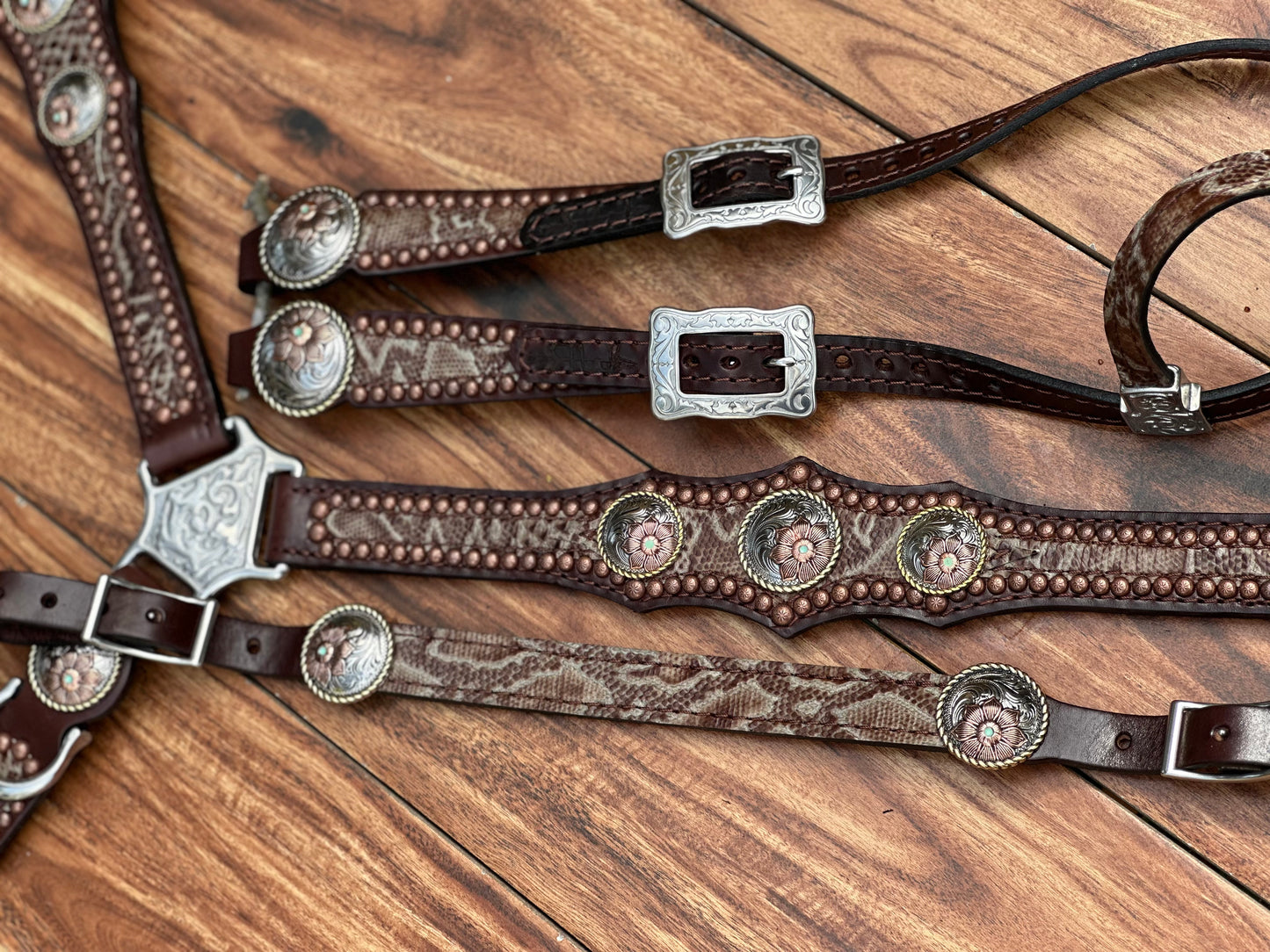 Brown Python with flower Conchos