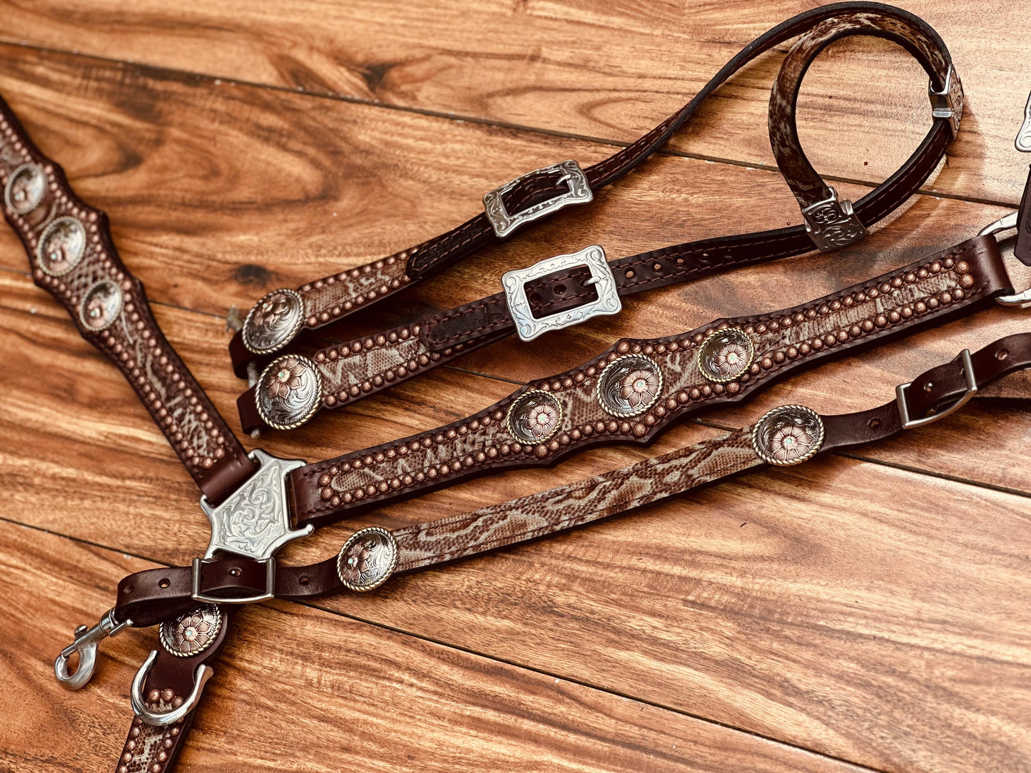 Brown Python with flower Conchos