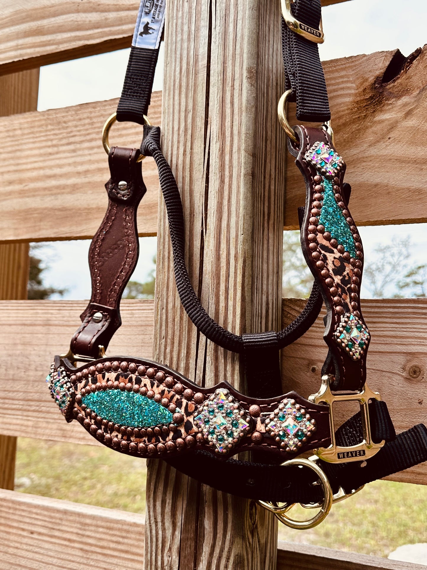 Chunky Turquoise Glitter with Cheetah Halter