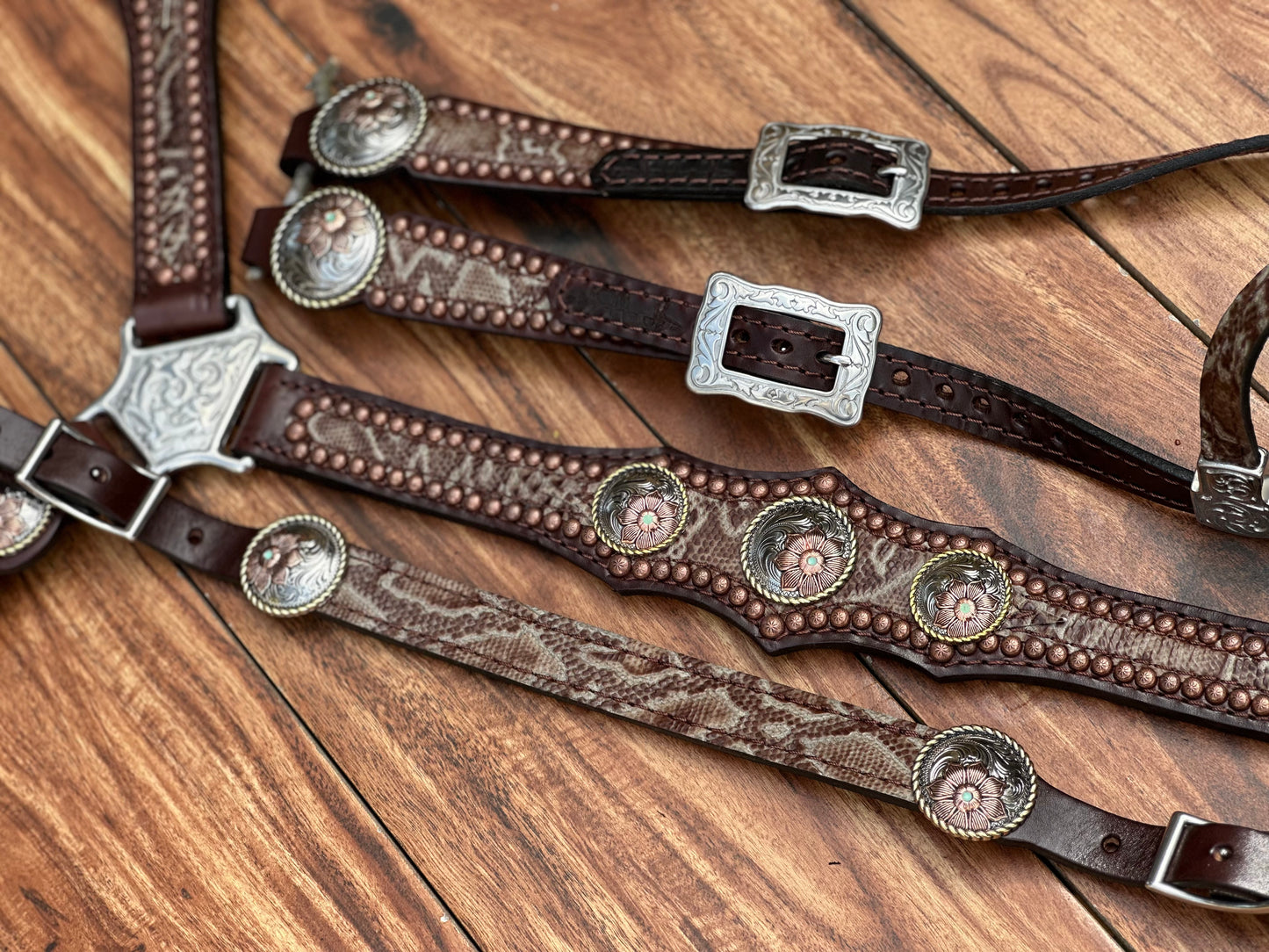 Brown Python with flower Conchos