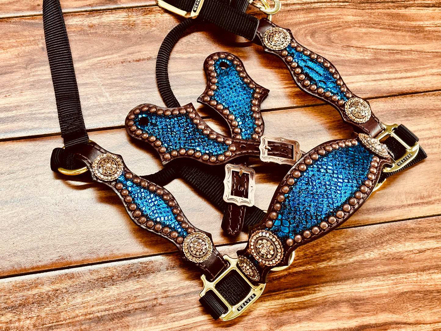 Blue mystic with rope edge round conchos