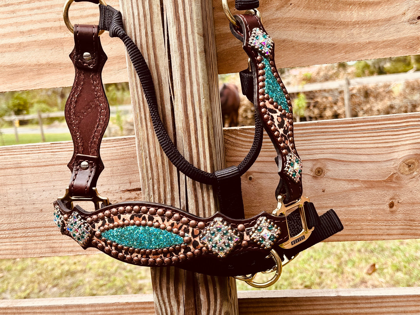 Chunky Turquoise Glitter with Cheetah Halter