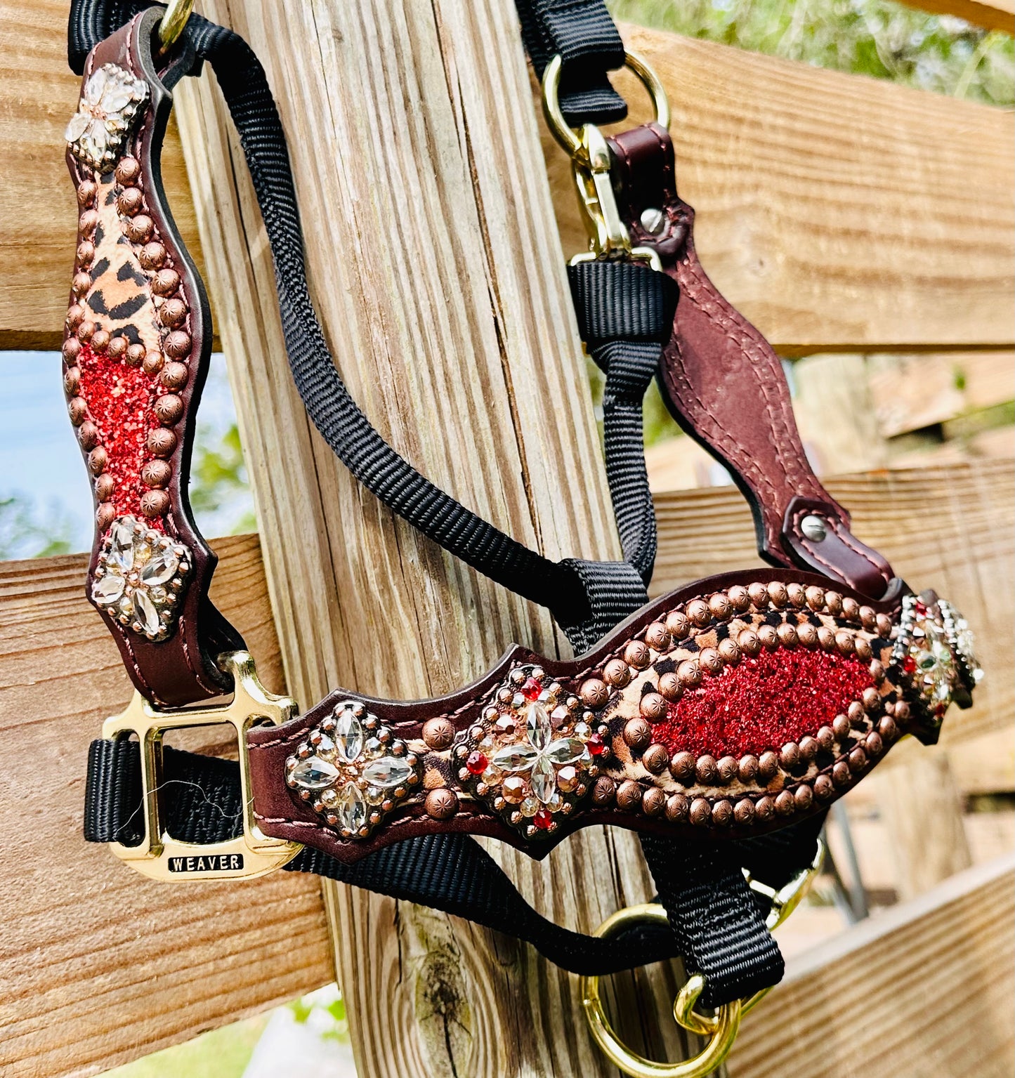 Chunky Red Glitter with Cheetah Halter