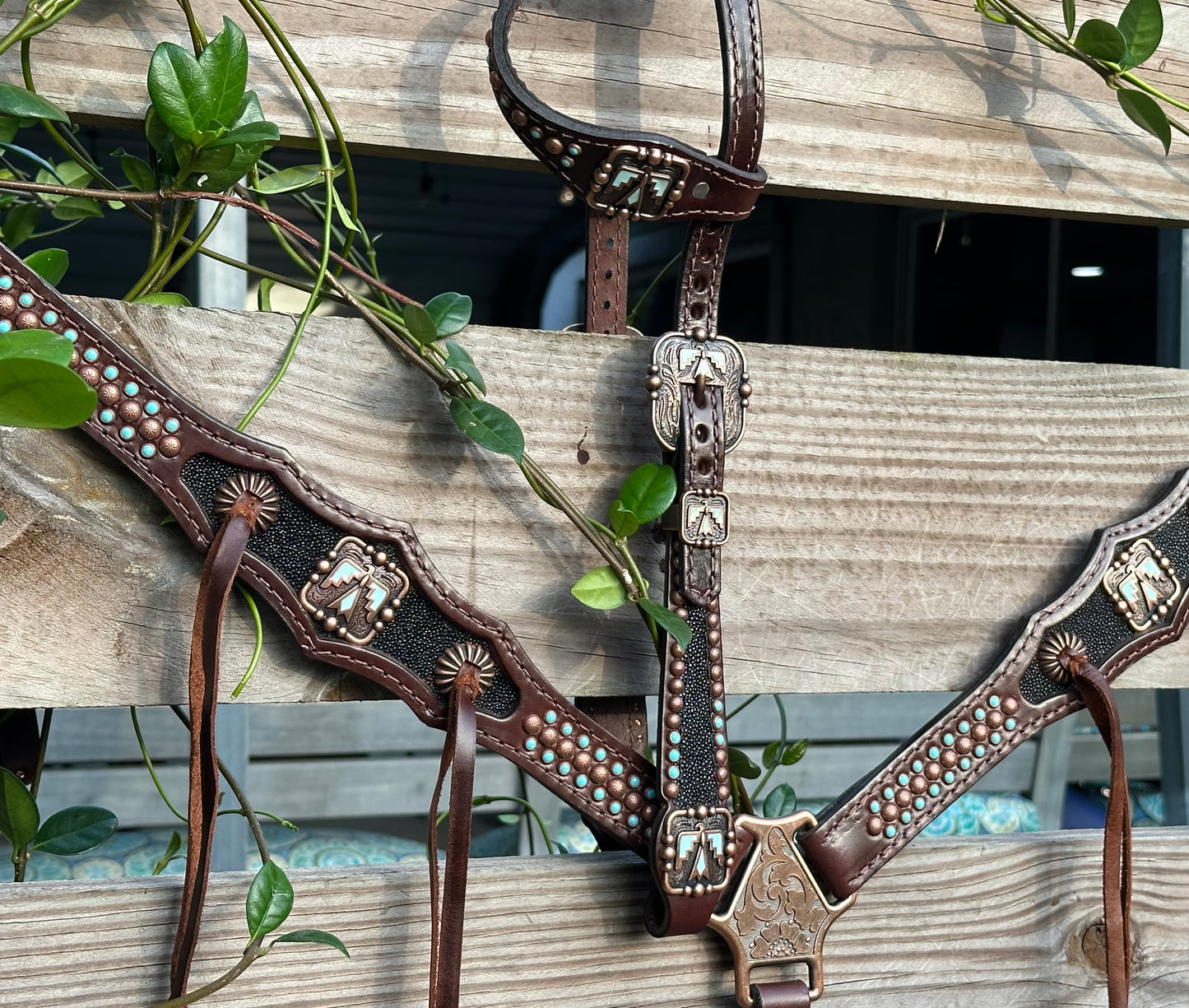 Black stingray with turquoise thunderbird accents