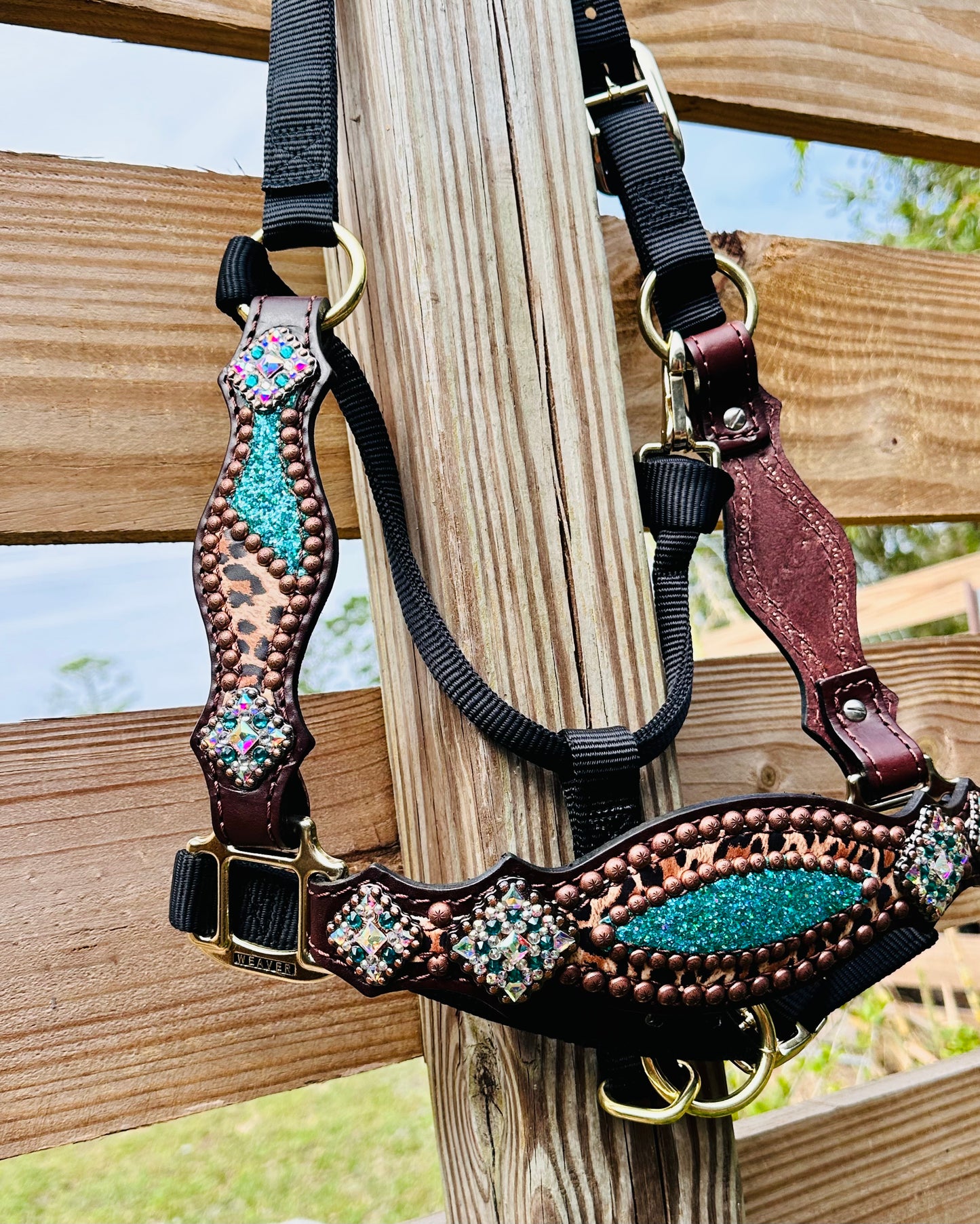 Chunky Turquoise Glitter with Cheetah Halter