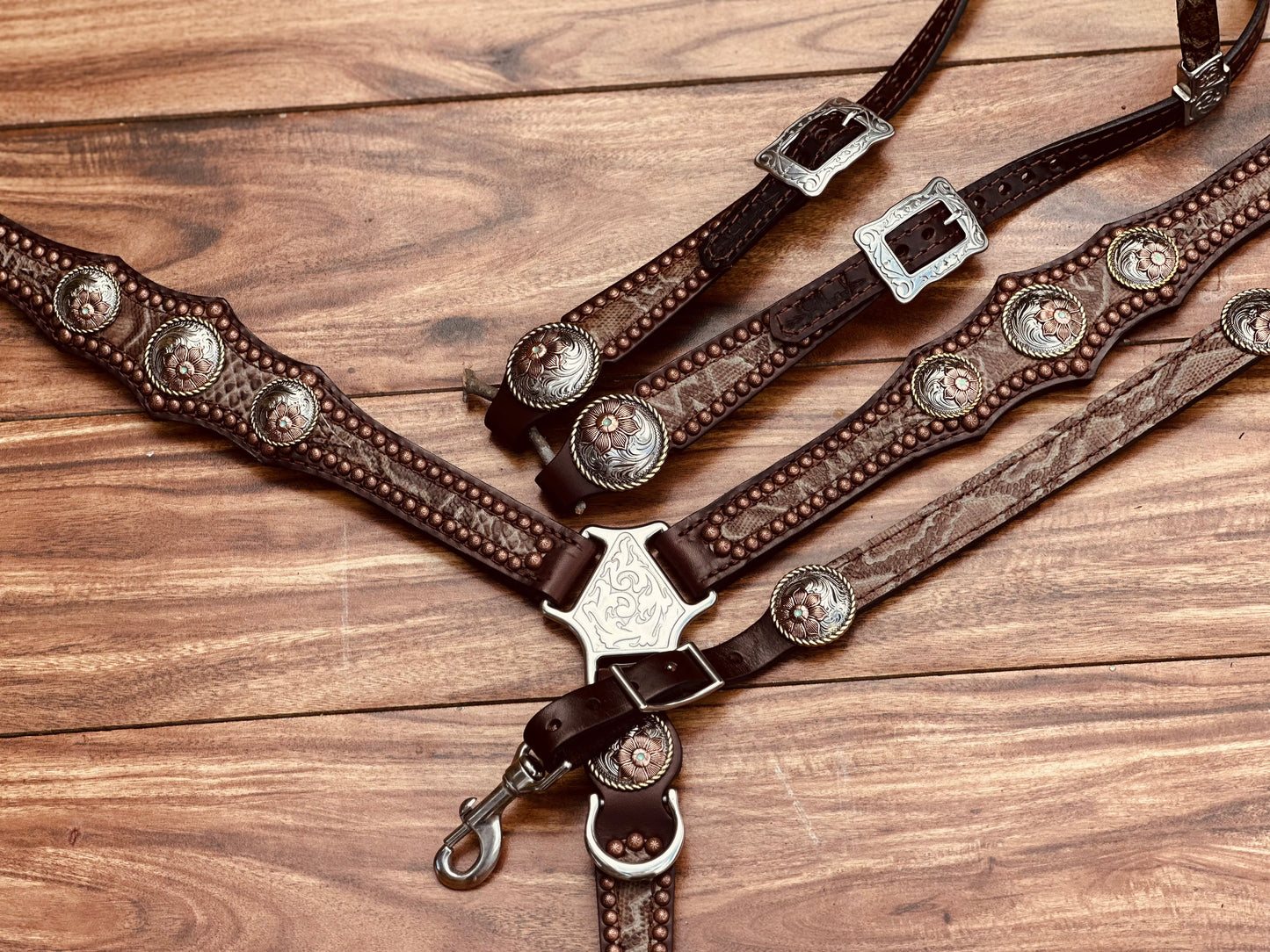 Brown Python with flower Conchos