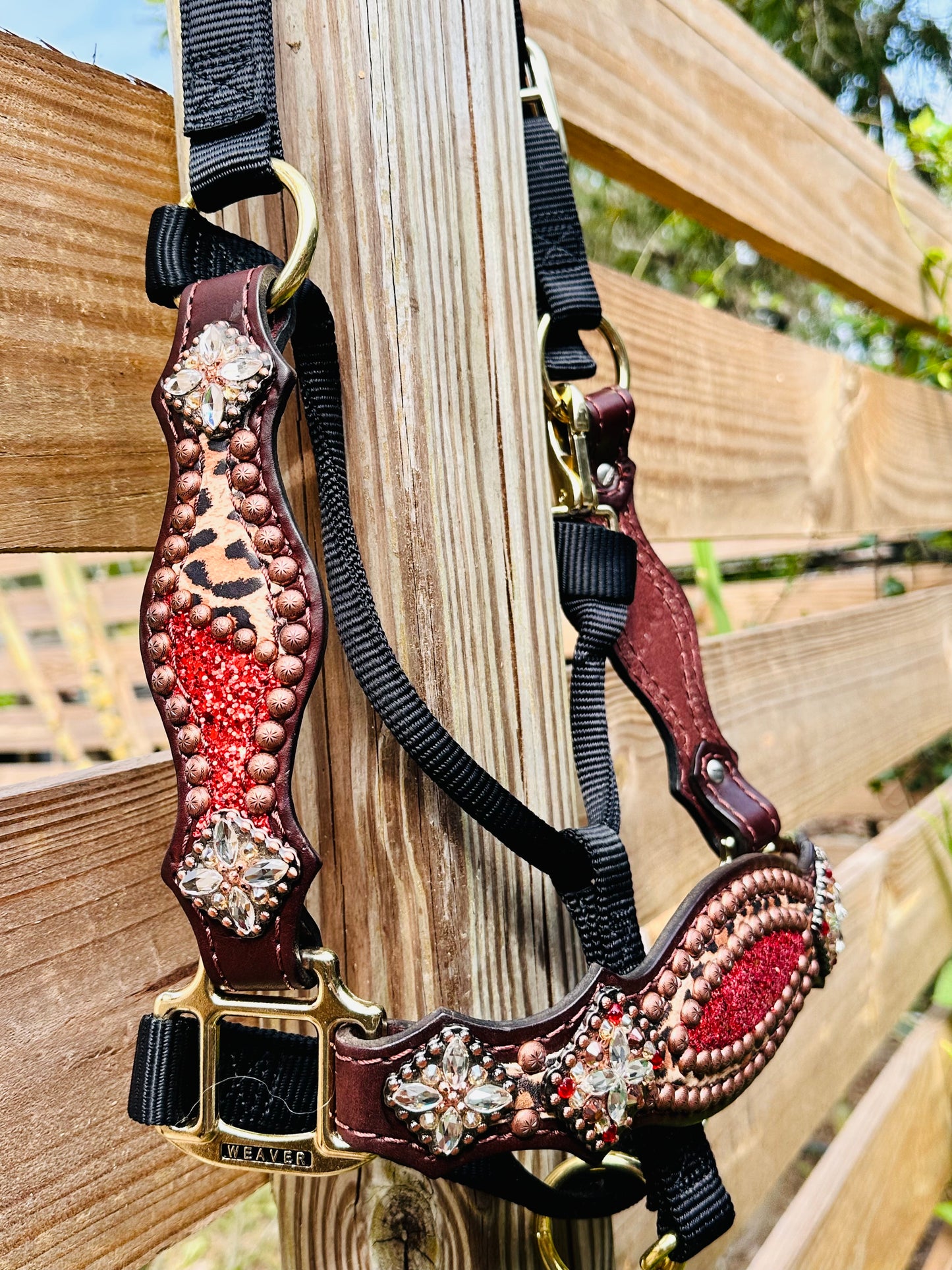 Chunky Red Glitter with Cheetah Halter