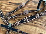 Black cheetah with bright copper