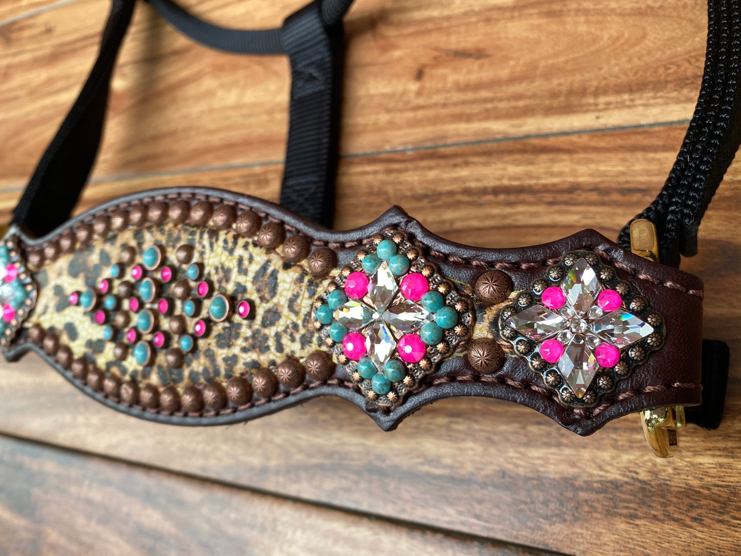Cheetah with pink and turquoise halter