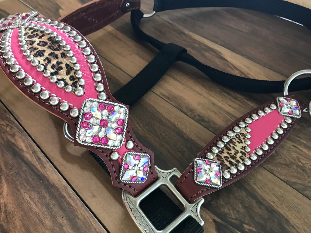 Pink with cheetah halter
