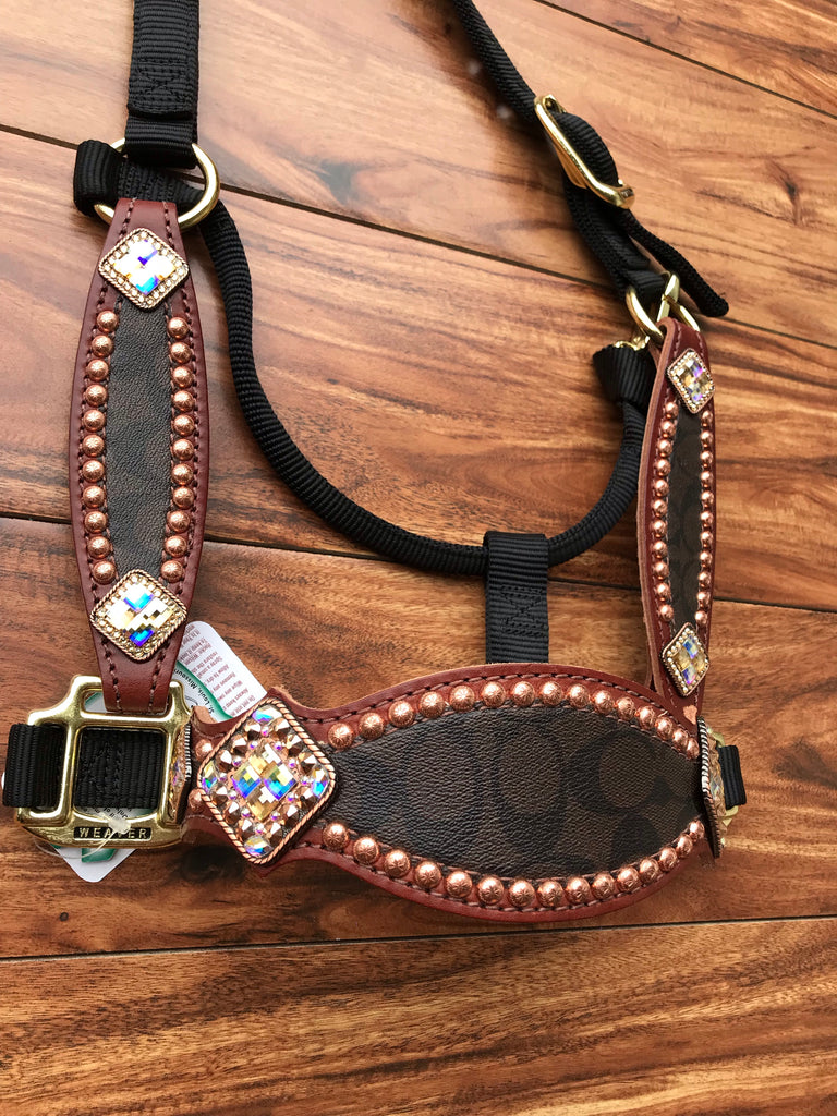 Brown Coach on Black Halter with cheeks