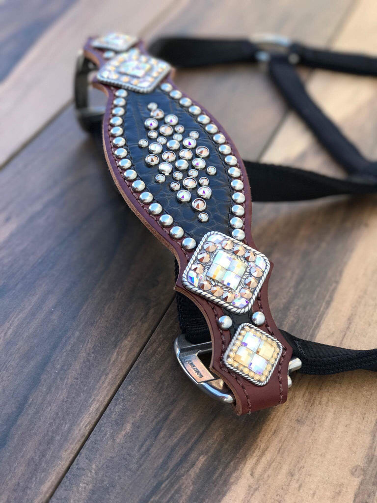 Black Gator Halter W/ Silver Spots