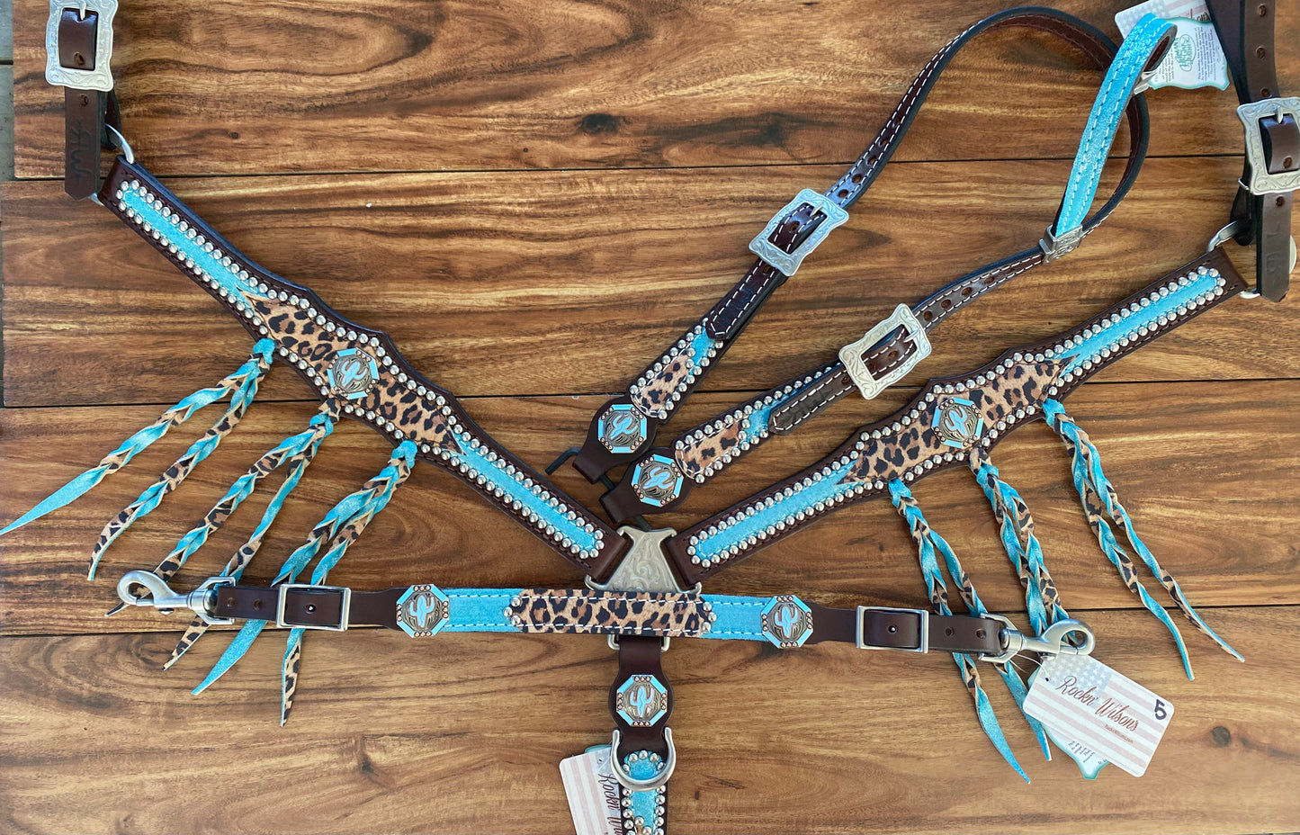 Turquoise dazzle with tawny cheetah